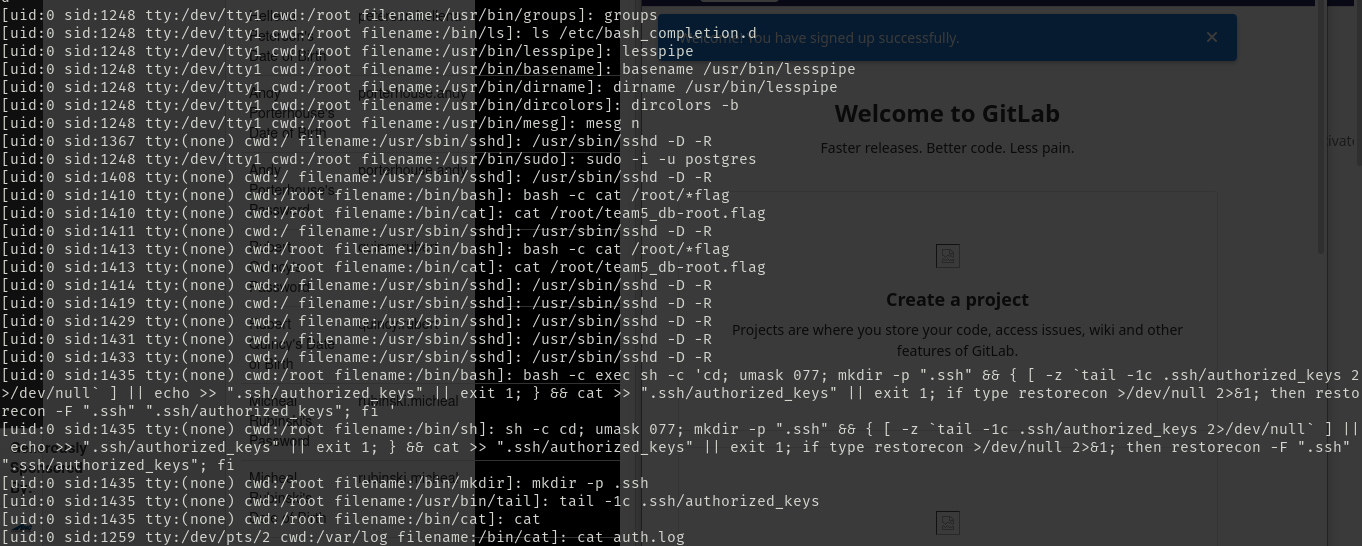 Log showing planting flags, and adding ssh keys to the machine